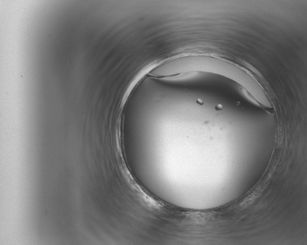 X0000080150812200612302126