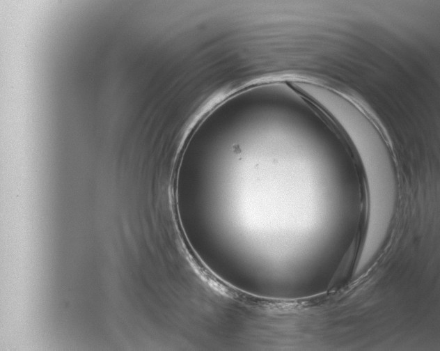 X0000080150813200612302126