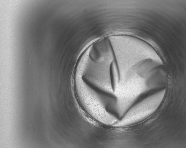 X0000080150814200612302126