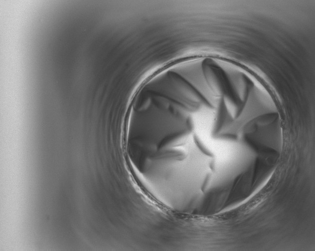 X0000080150815200612302126