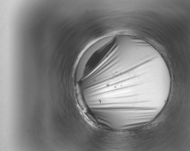 X0000080150816200612302126