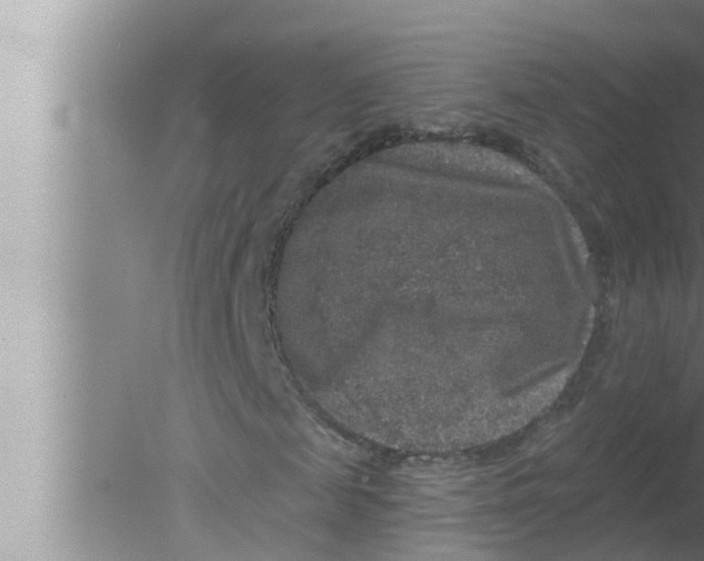 X0000080150817200612302125