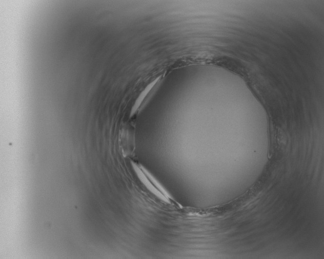 X0000080150818200612302125