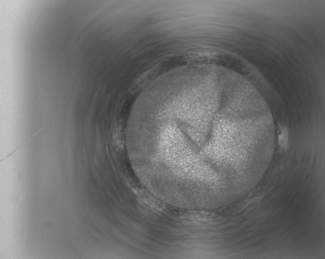 X0000080150819200612302125