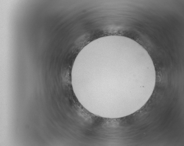 X0000080150820200612302125