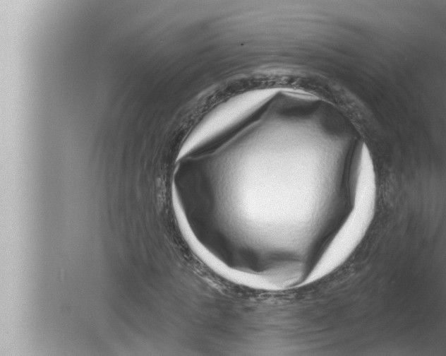 X0000080150821200612302125