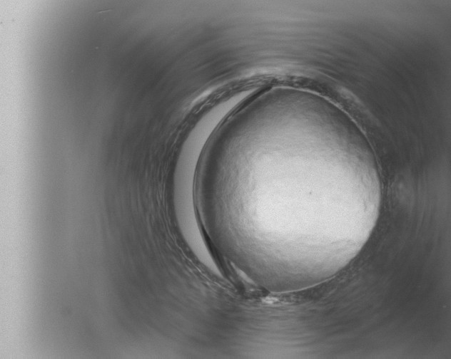 X0000080150822200612302125