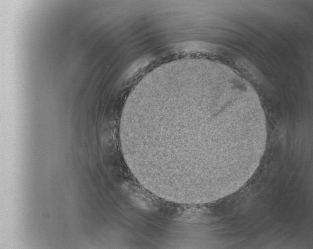 X0000080150824200612302125