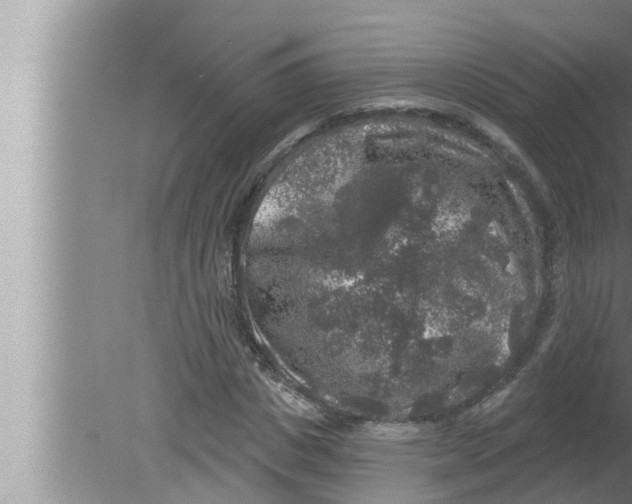 X0000080150825200612302125