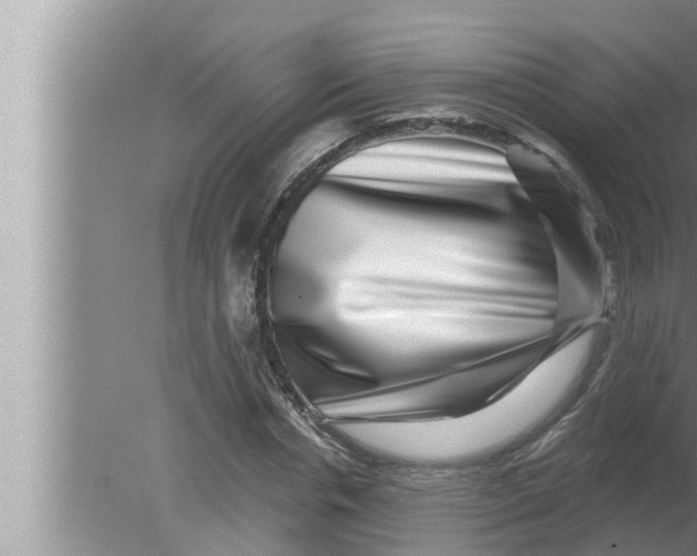 X0000080150826200612302125