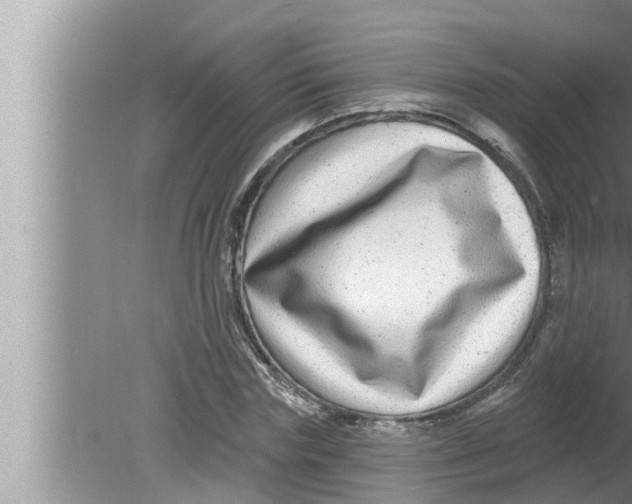 X0000080150827200612302125