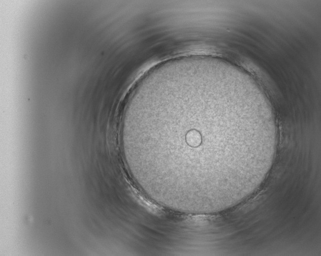 X0000080150828200612302125