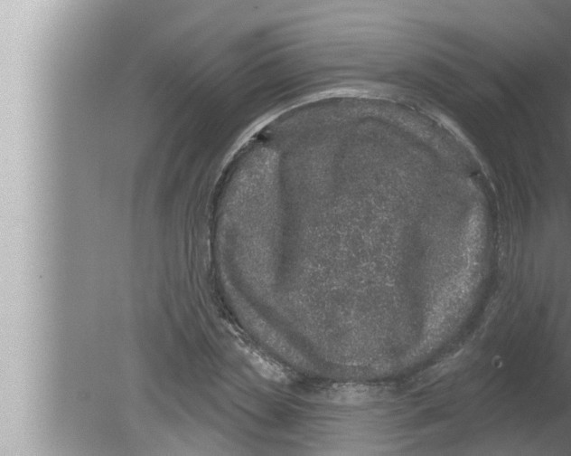 X0000080150829200612302125