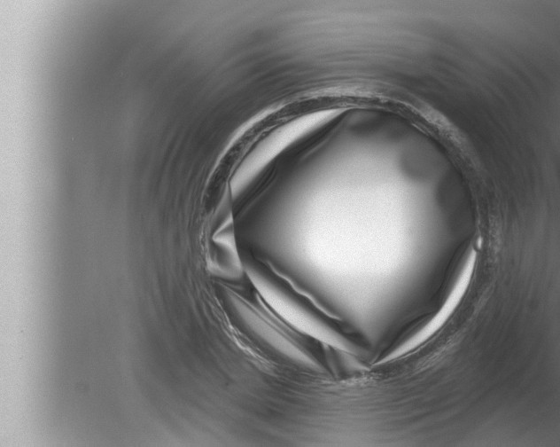 X0000080150830200612302125