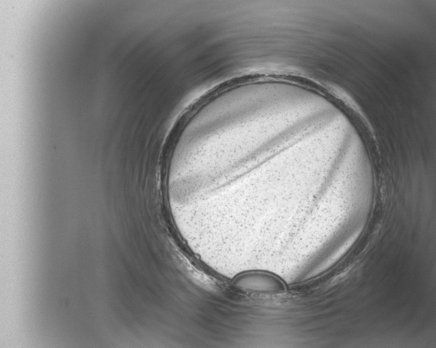 X0000080150831200612302125