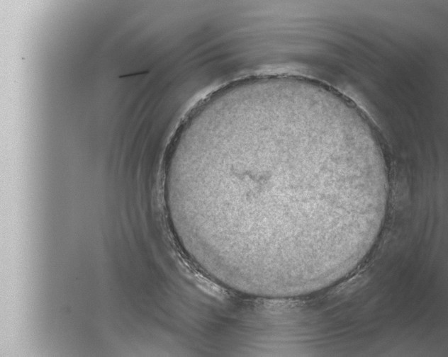 X0000080150832200612302125