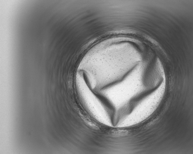 X0000080150833200612302125