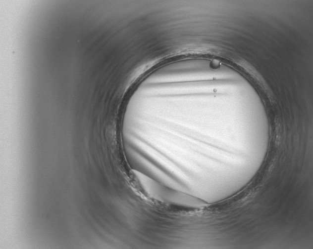 X0000080150834200612302125