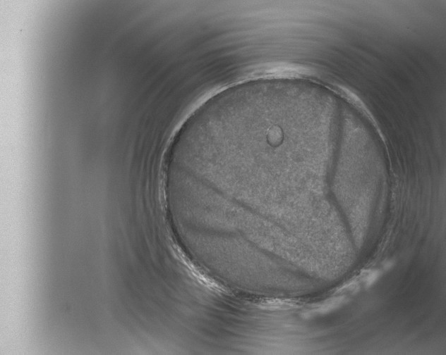 X0000080150835200612302125