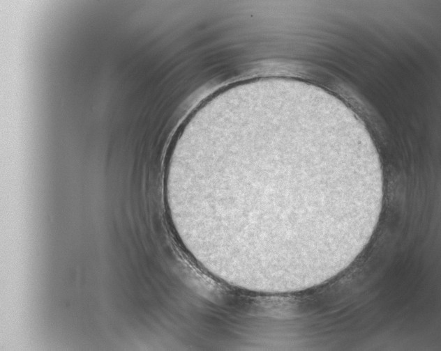 X0000080150836200612302125