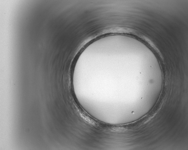 X0000080150837200612302125