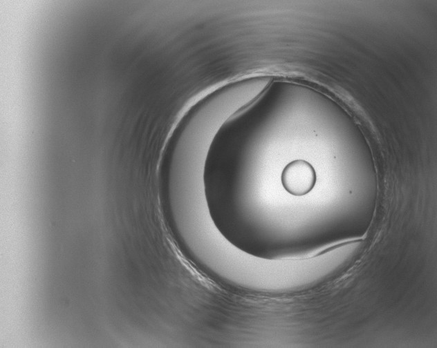 X0000080150838200612302125