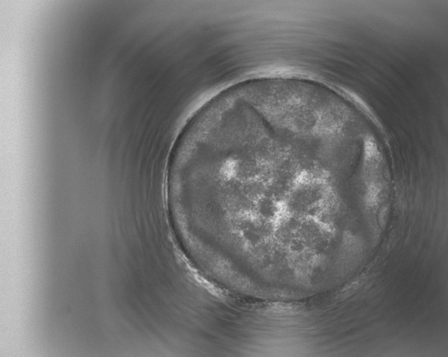 X0000080150839200612302125