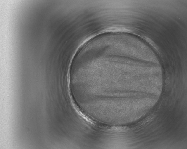 X0000080150840200612302125