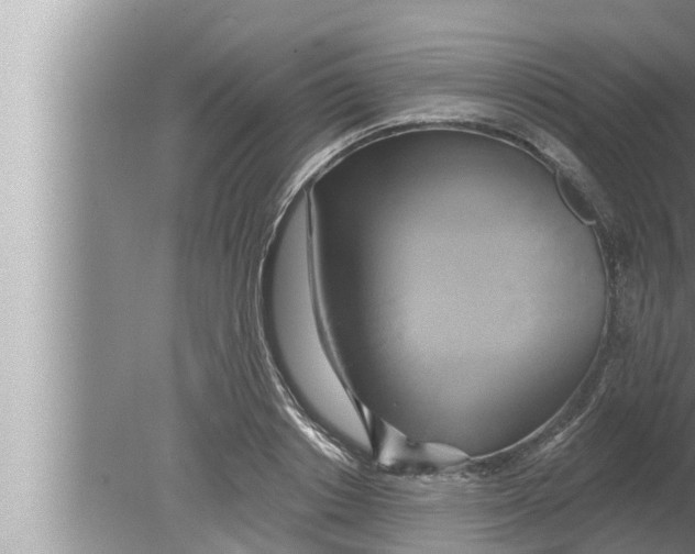 X0000080150842200612302125