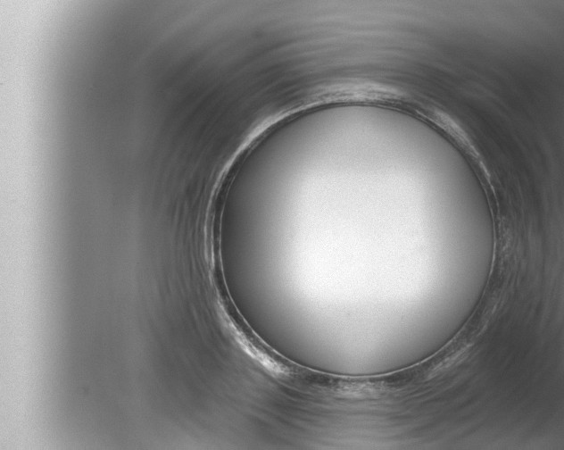 X0000080150843200612302125