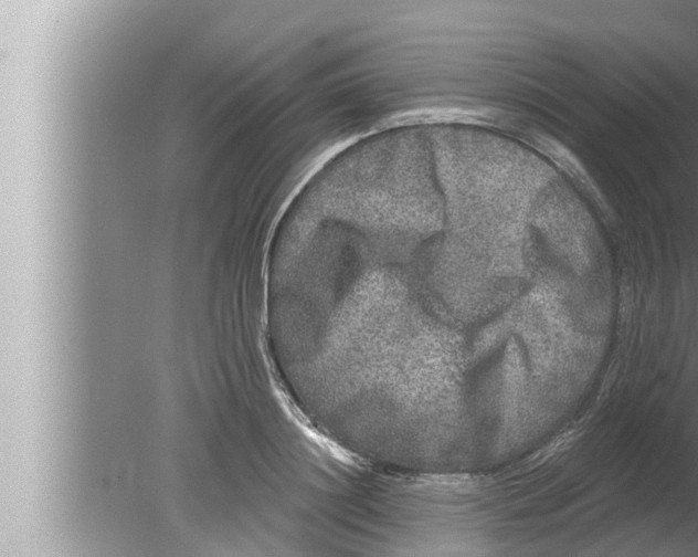 X0000080150844200612302125