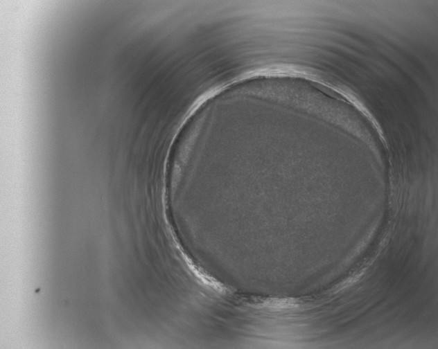 X0000080150845200612302126