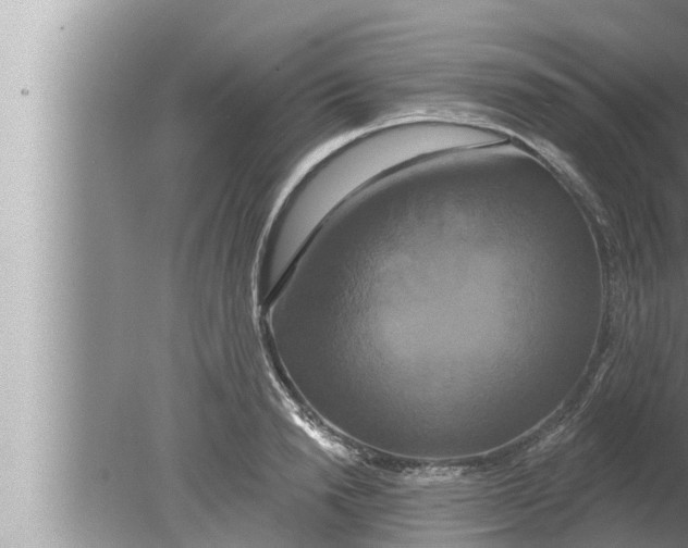 X0000080150846200612302126