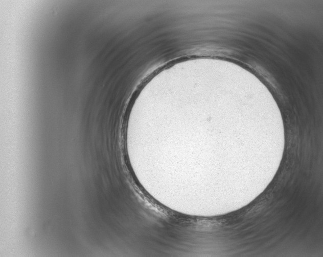 X0000080150848200612302126