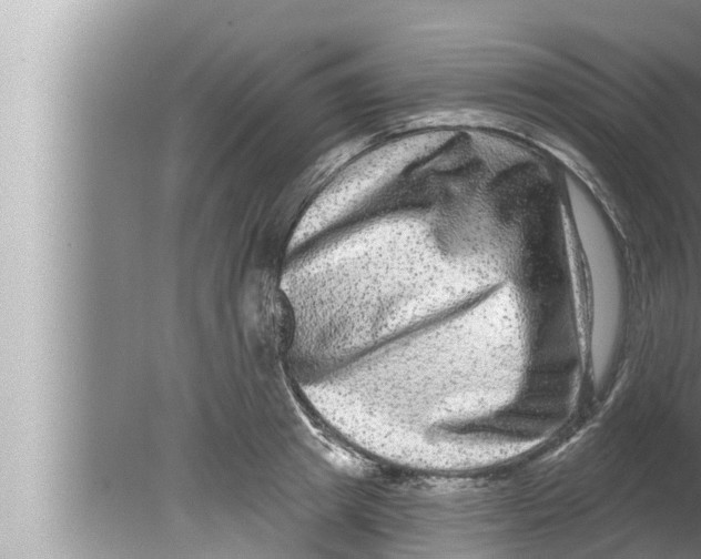 X0000080150849200612302126