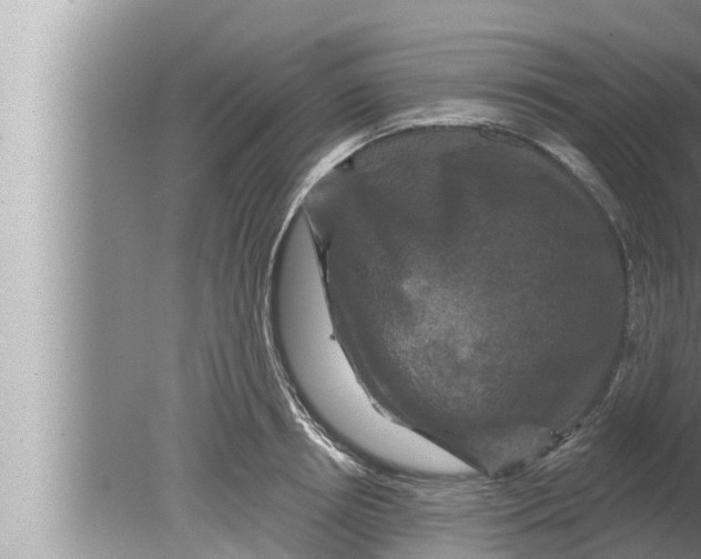 X0000080150850200612302126