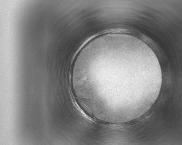 X0000080150852200612302126