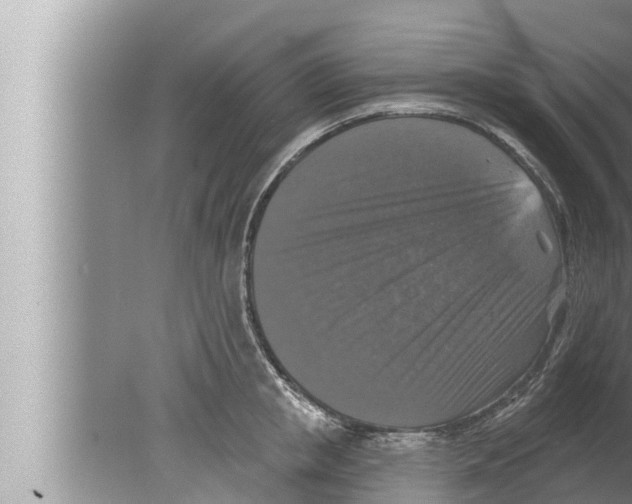 X0000080150853200612302126