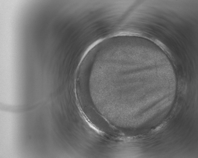 X0000080150854200612302126