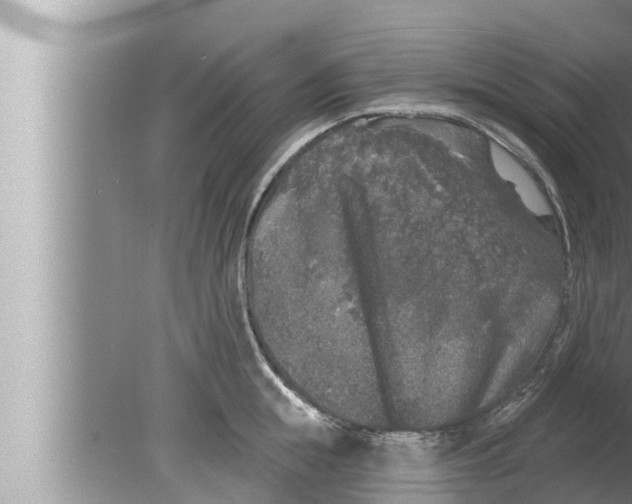 X0000080150855200612302126