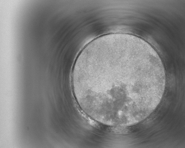 X0000080150856200612302126