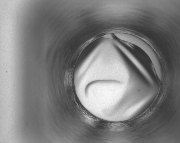 X0000080150857200612302126