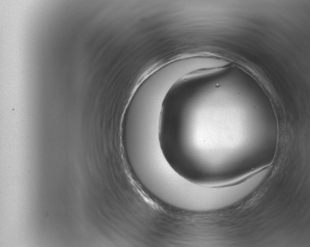 X0000080150858200612302126