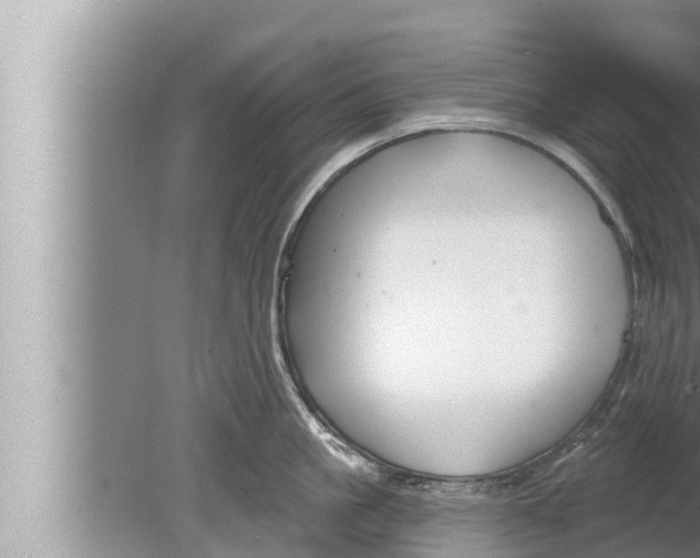 X0000080150861200612302126