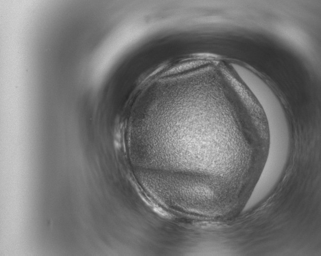 X0000080150862200612302126