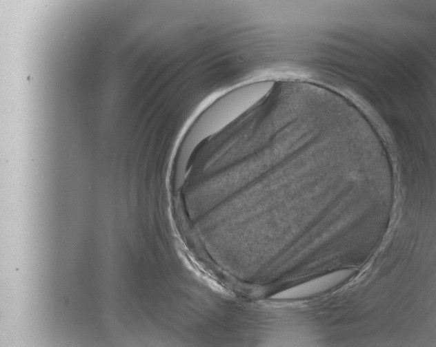 X0000080150864200612302126