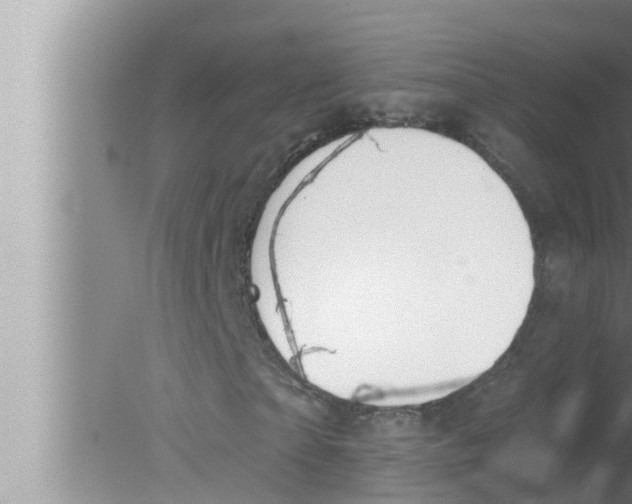 X0000080150865200612302125