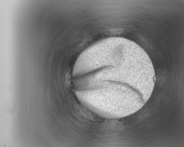 X0000080150866200612302125