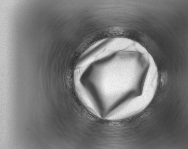 X0000080150867200612302125