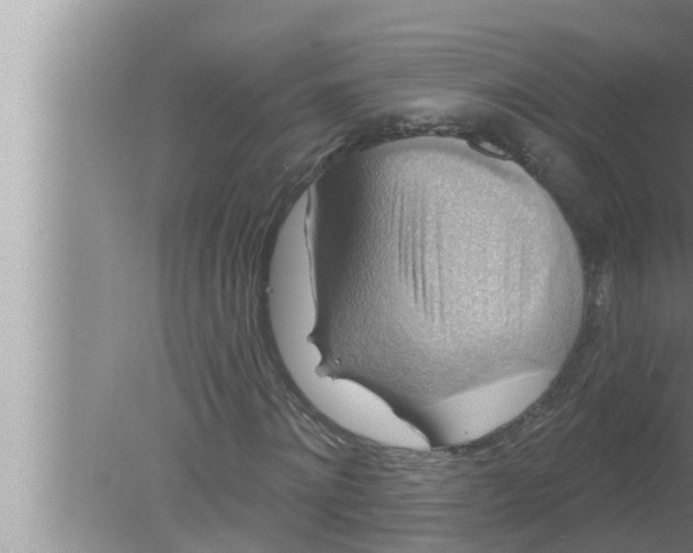 X0000080150868200612302125